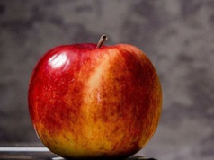 Event registration: Webinar only (1h30)